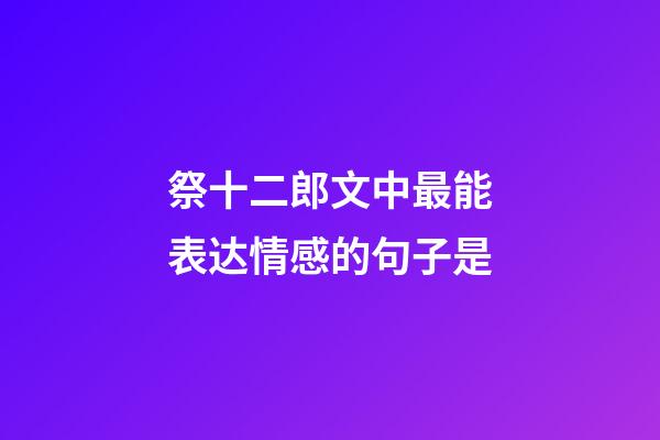 祭十二郎文中最能表达情感的句子是