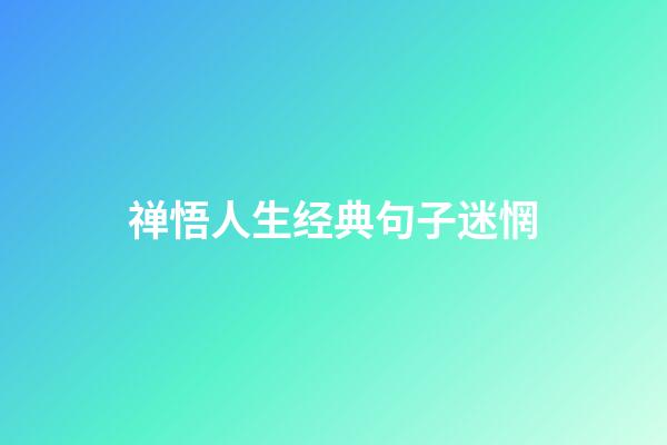 禅悟人生经典句子迷惘