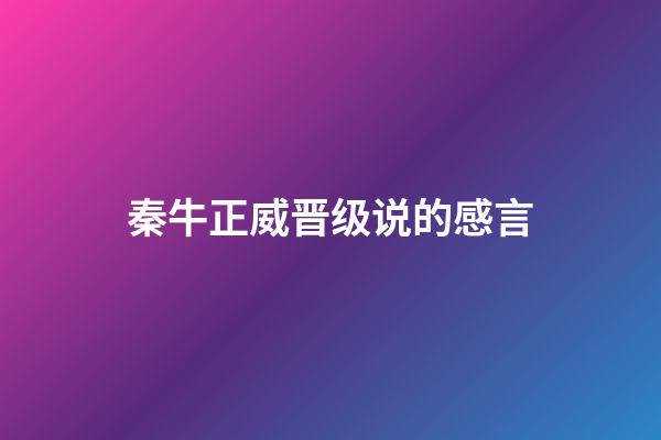 秦牛正威晋级说的感言