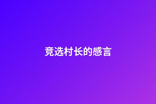竞选村长的感言