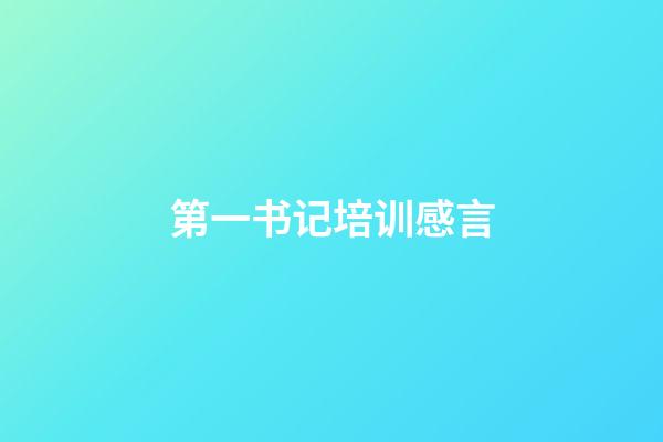 第一书记培训感言