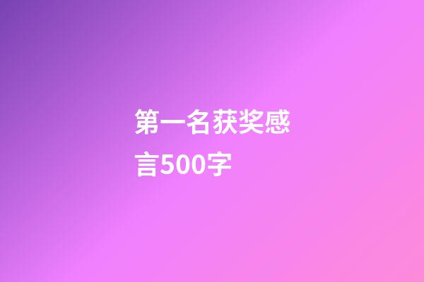 第一名获奖感言500字