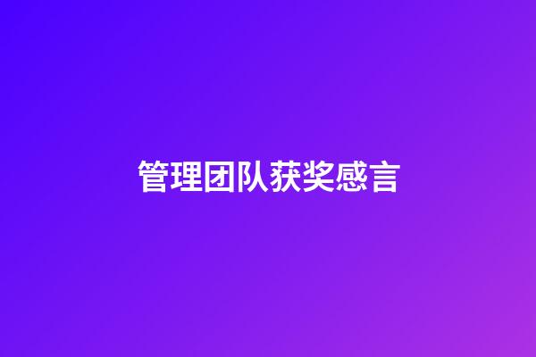 管理团队获奖感言