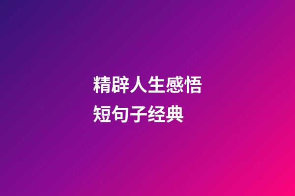 精辟人生感悟短句子经典