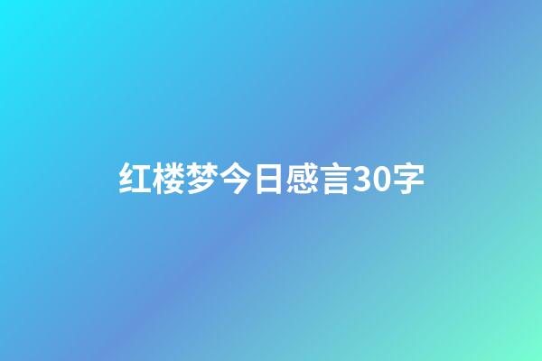 红楼梦今日感言30字