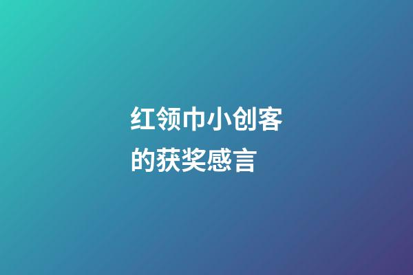 红领巾小创客的获奖感言