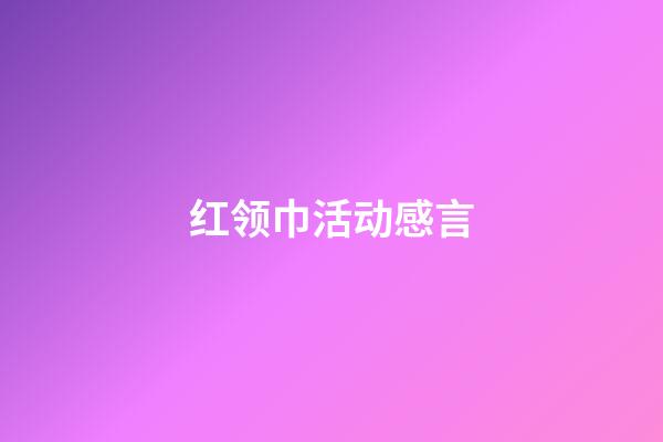 红领巾活动感言