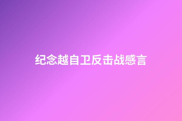 纪念越自卫反击战感言