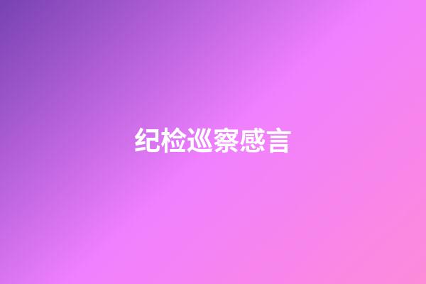 纪检巡察感言