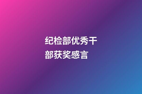 纪检部优秀干部获奖感言