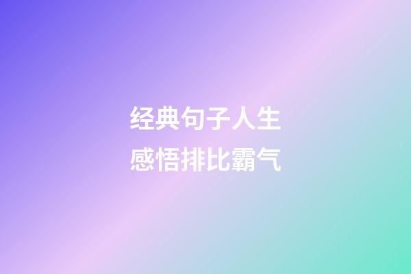 经典句子人生感悟排比霸气