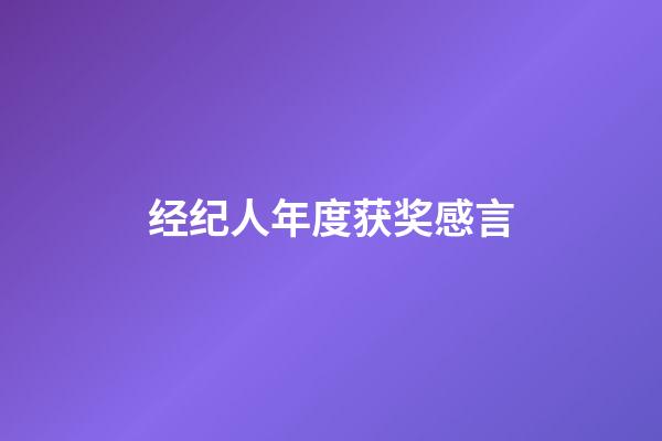 经纪人年度获奖感言