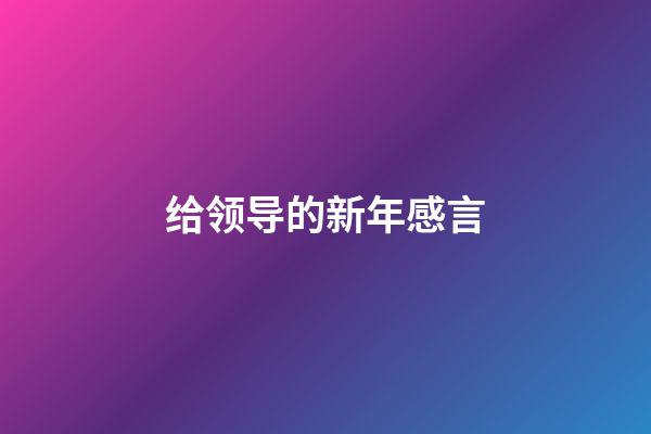 给领导的新年感言