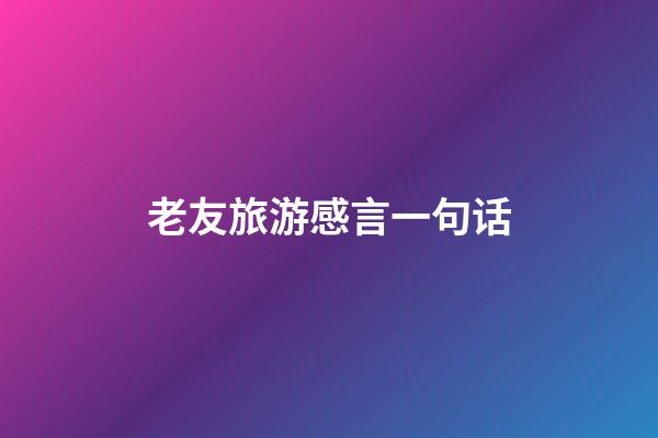 老友旅游感言一句话