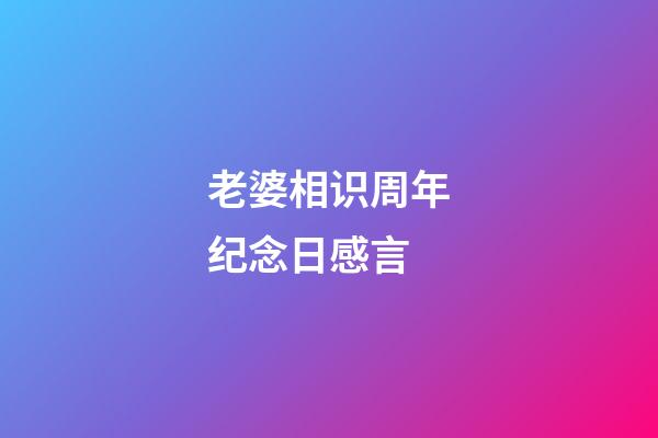老婆相识周年纪念日感言