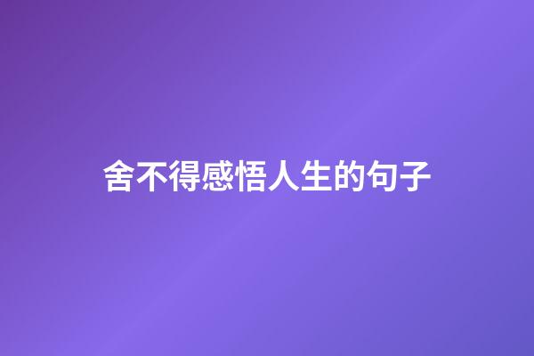 舍不得感悟人生的句子