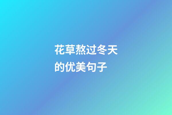 花草熬过冬天的优美句子