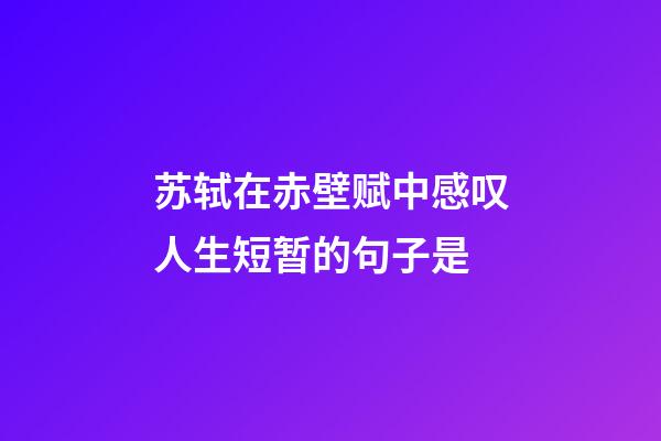 苏轼在赤壁赋中感叹人生短暂的句子是
