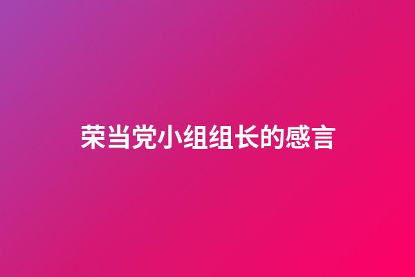 荣当党小组组长的感言