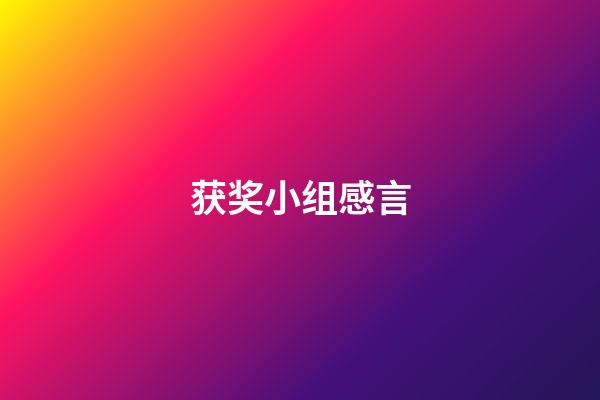 获奖小组感言