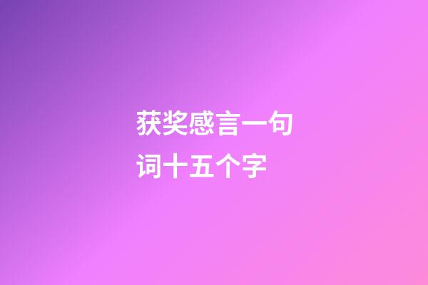 获奖感言一句词十五个字