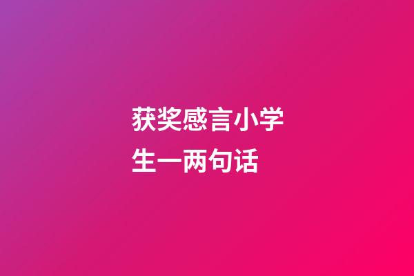获奖感言小学生一两句话