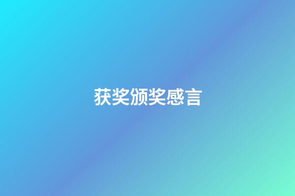 获奖颁奖感言