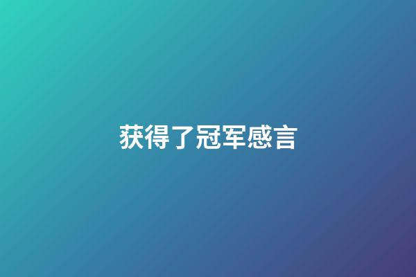 获得了冠军感言
