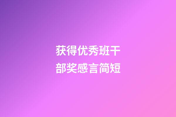 获得优秀班干部奖感言简短