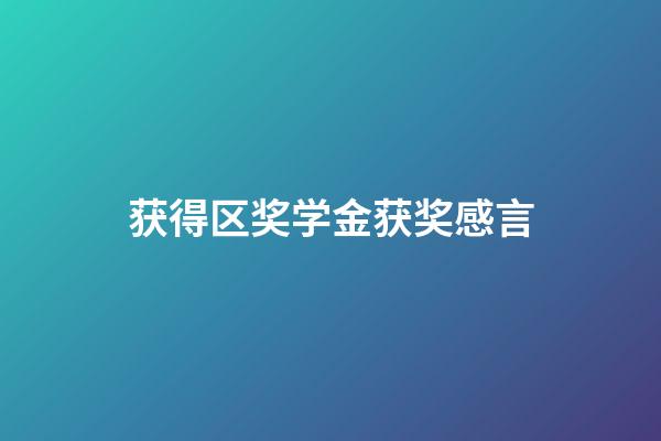 获得区奖学金获奖感言