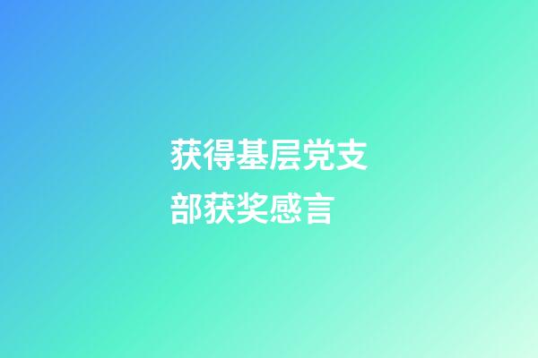 获得基层党支部获奖感言