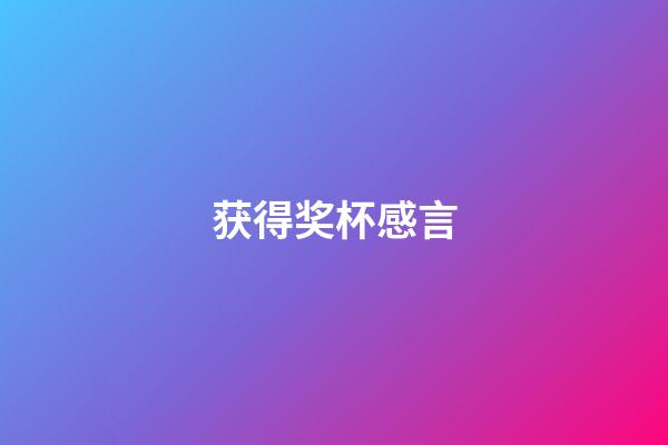 获得奖杯感言