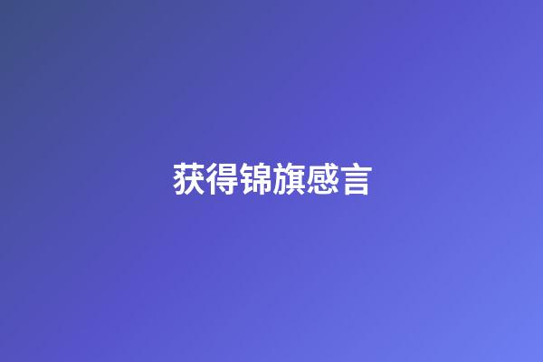 获得锦旗感言