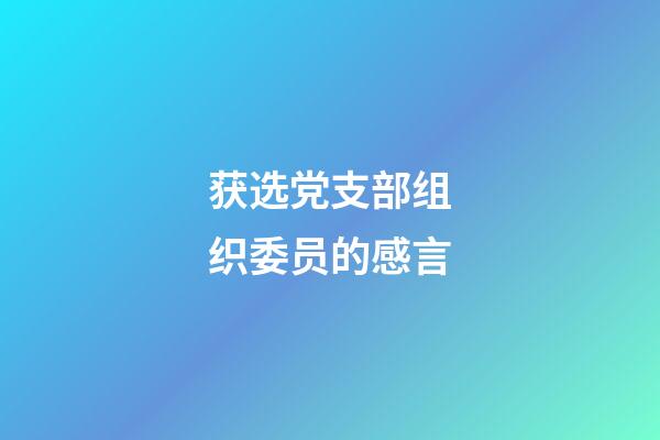 获选党支部组织委员的感言