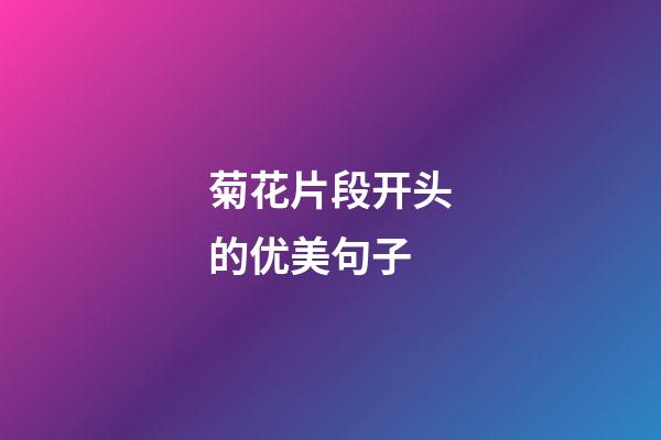 菊花片段开头的优美句子