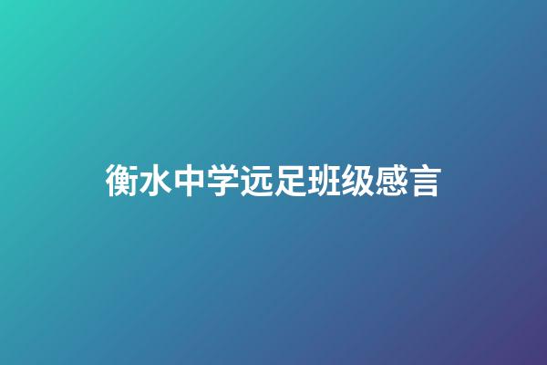 衡水中学远足班级感言
