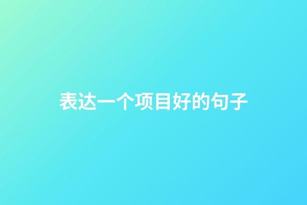 表达一个项目好的句子