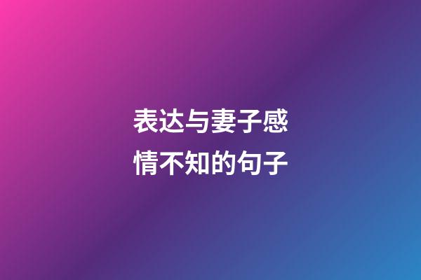 表达与妻子感情不知的句子