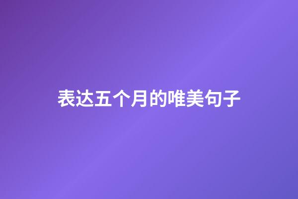 表达五个月的唯美句子