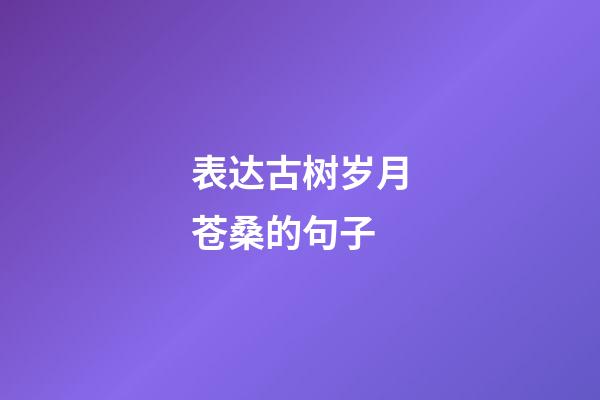 表达古树岁月苍桑的句子