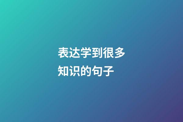 表达学到很多知识的句子