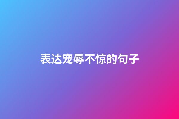 表达宠辱不惊的句子