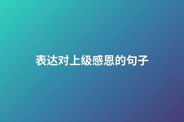 表达对上级感恩的句子