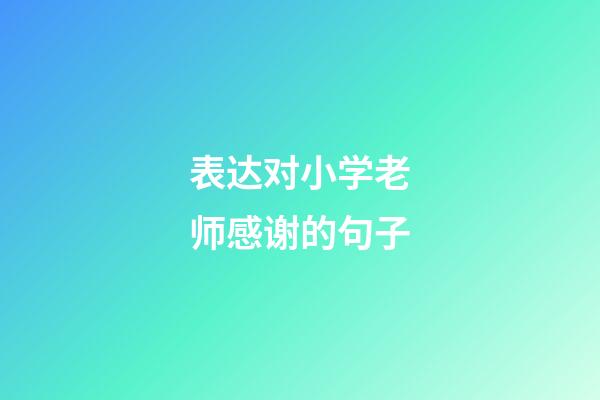表达对小学老师感谢的句子