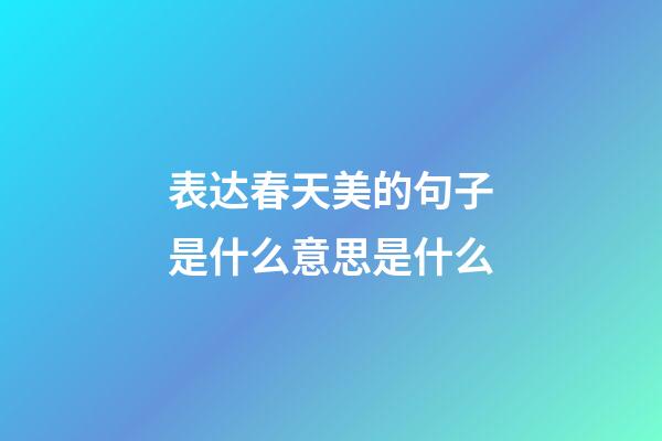 表达春天美的句子是什么意思是什么