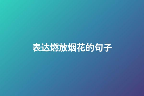 表达燃放烟花的句子