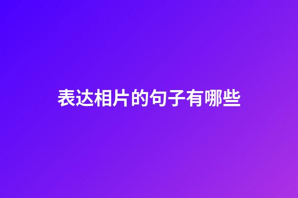 表达相片的句子有哪些