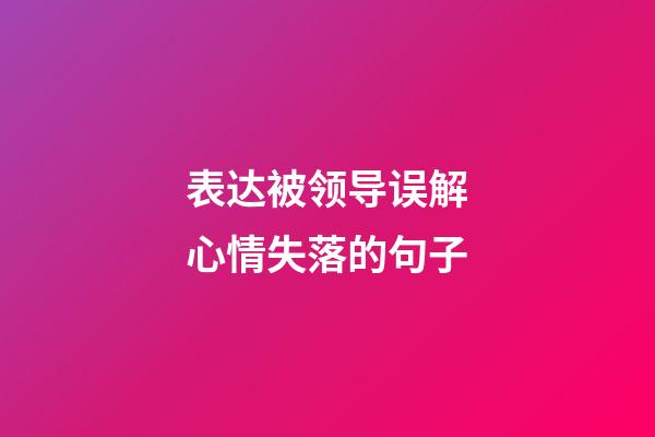 表达被领导误解心情失落的句子