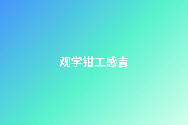 观学钳工感言