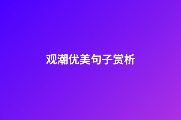 观潮优美句子赏析